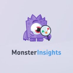 MonsterInsights