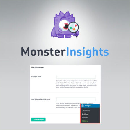 MonsterInsights Performance Addon