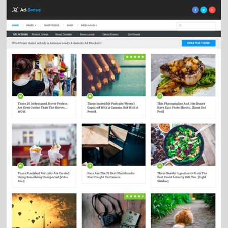 MyThemeShop Ad Sense WordPress Theme