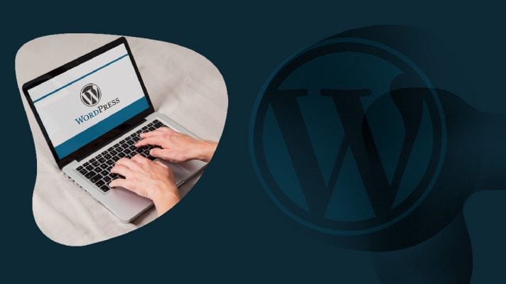 Theme Plugin for WordPress